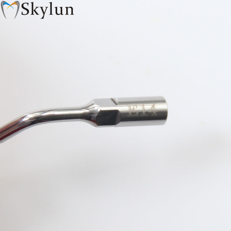 5PCS Tip Scaler Ultrasonik Gig - Teeth Whitening Free ulasan dan harga