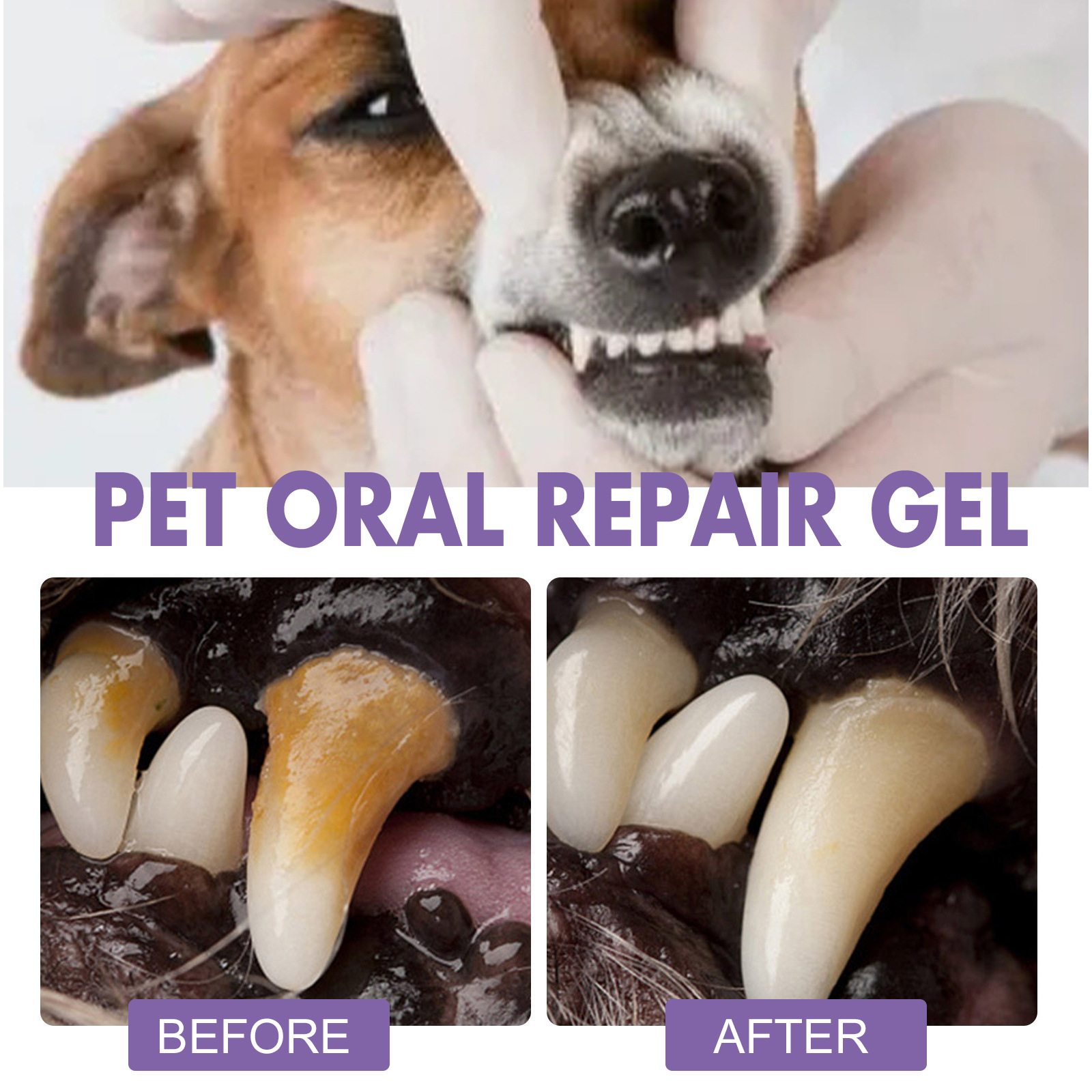 Gel perbaikan mulut hewan peli - Teeth Whitening From Home ulasan dan harga