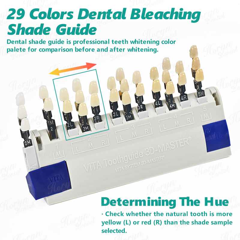 Vita 3D Master Dental Lab Blea - Teeth Whitening Bleach ulasan dan harga